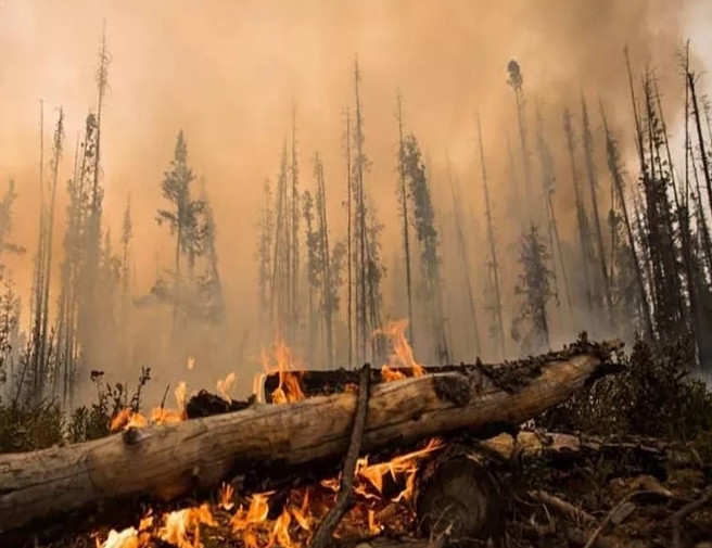 千亿国际平台·QY(中国)唯一官方网站